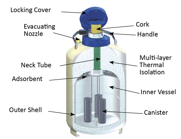 Liquid Nitrogen Tank Structure